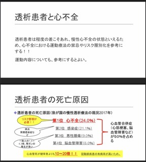 7528217F-611A-4026-A333-E2F7BDB0A791.jpeg