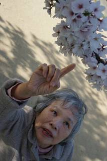 花見8.jpg