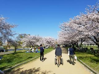 花見9.jpg