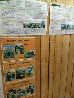 IMG_20171129_182945.jpg