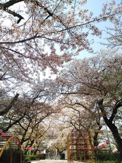 IMG_20180403_150526.jpg