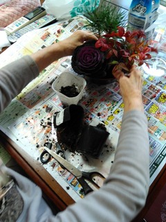 IMG_20181130_160057.jpg