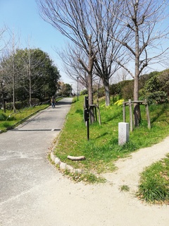 IMG_20190326_105953.jpg