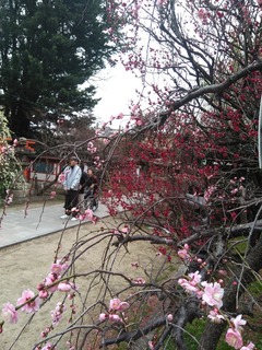 IMG_20200214_113454.jpg