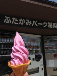 IMG_8882.jpg